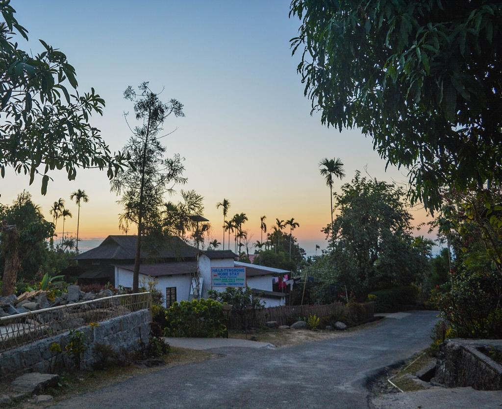 Ha-La-Tyngkong Home Stay Mawlynnong Asia Cleanest Village
