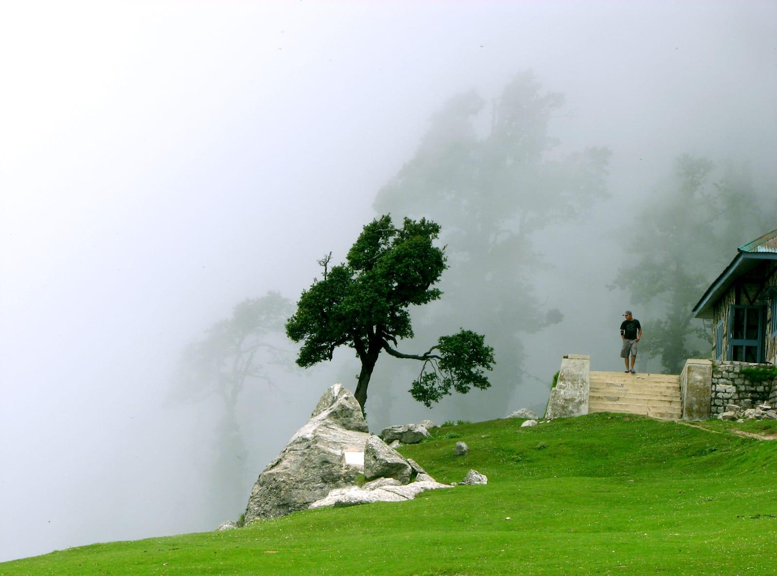 Triund meadow beneath the Dhauladhar range above McLeod Ganj, Himachal Pradesh